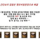 입소문 자자한 땡초비빔된장 19000 원부터 무료배송 이미지