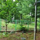 금강로1576번길1 이미지