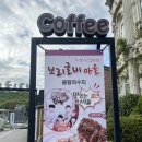 보리&me 이미지