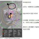 새만금신공항 영향평가 초안 보호종 누락에 개발 면죄부까지,그러나 과학적 근제 제시못해-보도자료 이미지