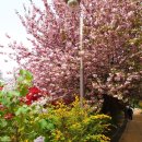 완산-170 이미지