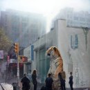 너를 위한 우주 이미지