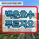 숲속에 아침 이미지