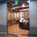 스타피카소