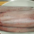 바이더모터스 이미지