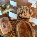 야옹아멍멍해봐(전북 익산점) | 익산베이커리카페 치아바타,사워도우 빵맛집 추천 그라운드