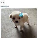 예은광고기획 | 저왔어요🌸