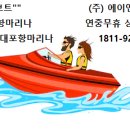 에이앤티 이미지