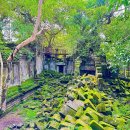 캄보식당 이미지