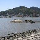 망산도 유주암 이미지