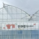 연곡농장 네이버블로그