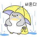 민트공인중개사사무소 이미지