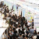 꿈을 찾아서 이미지