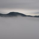 강해림「구름 寺院」 / 김동원 시인·평론가 이미지