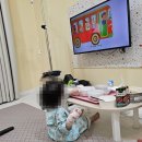 20개월 폐렴 송도미소어린이병원 2박3일 입원후기(열경련, 강직성경련 증상,인체메타뉴모바이서스)
