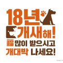 디비드레