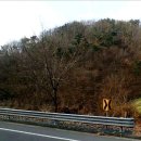 금천면사무소 이미지