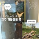 도계민화박물관(휴관) | 제주 가볼만한 곳ㅣ제주민속자연사박물관 관람료, 주차, 전시