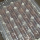 농업회사법인 농부와드론주식회사 | 양계장청년 난각 1번 유정란 [농업회사법인 양계장청년 주식회사]