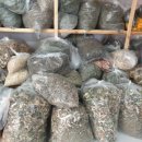 속리산 휴양센터 이미지