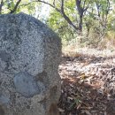 월산대군 이정태실 이미지