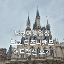 야수 DPA 성공 / 어트랙션 7개 타고 뽕뽑기/ 어트랙션 추천 위치 정리 및 후기 + 도날드덕 퍼레이드 후기
