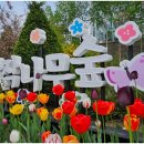 베툴라 자작나무숲 펜션 이미지