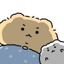 찐이야김빱