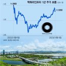 6% 배당 주는 강남 사모님 '1억 계좌'...주가도 20% 올랐다 이미지