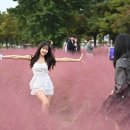 라라댄스스튜디오 아이뉴스24