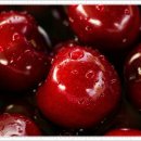 바른약속치과의원 이미지