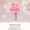 테일러퍼피 이미지
