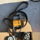 엠에스 모터스 이미지