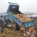 철만농장 이미지