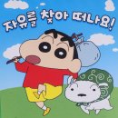 나홀로집밥 이미지