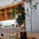 강릉제일고 버스정류장(강일여고 방향) | 강릉 신상 카페, 강릉역 카페, 스필 더 커피 로스터리