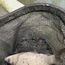 백용낚시터 이미지