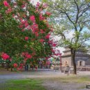 분황사주차장 이미지