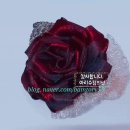 롯데웰치과의원 | 롯데웰치과의원