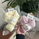 댕스잇 | 대구 수성구 범어동 강아지 수제 간식샵 옷가게 “댕스잇” 내돈내산