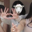 세븐일레븐 가능태양점 | [일본 칸다외대 교환] 19주차(上) | 돗토리 2박3일 여행...근데이제 눈물을 곁들인
