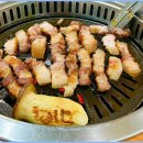 탐라우돈 이미지