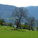 원그린목장 이미지