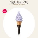 폴바셋롯데백화점부산본점