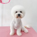 몽그리몽 이미지