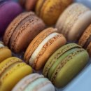 제과기능사자격증 이미지