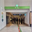 고래고래 노래연습장 | [임신36주차] 노량진컵밥거리, 강북삼성병원 막달검사,