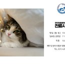 인덕원동물의료센터 이미지