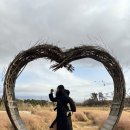 청산별 | 겨울 태안 청산수목원 후기, 겨울 방문 비추천 이유