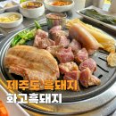 돼지발 | 제주도 서귀포 흑돼지 맛집 육즙가득 화고흑돼지